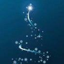 路上的风，高山的雪