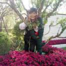 陈丽芳