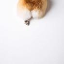 調整時差的黃小呆