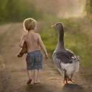 酷的像风，野的像狗