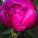 李家沟打鼓舞队。一笑而过