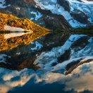 🐮李大美🐮回意