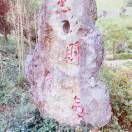 随缘