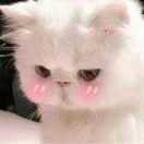 万事开头难 中间难 到最后都难