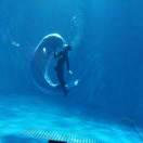 饮（尹）水思源