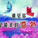 雨花石2816