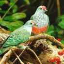 满满的全是回忆