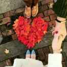 她纯洁她无暇我世故我复杂