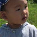 萨仁高娃 【618】