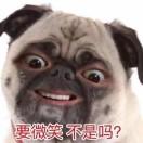 名字也是难题