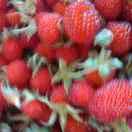 往后余生，过好自己