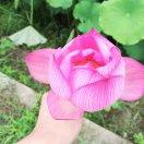杰[null]