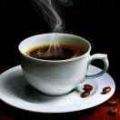 只可遇见不可预见