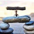 balance