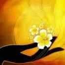 Aa〃幸福发芽-γ*