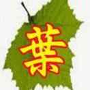 ㈠片綠葉