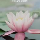 都是过去