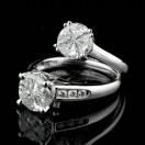 咸阳南洋迪克圣蒂斯堡解伟娟