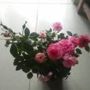 肯麦基一陆川清湖店