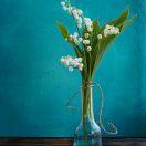 为生活而努力。