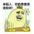 风中自由，气息悠长