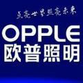欧普照明(博兴店)