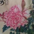 格桑花_83099