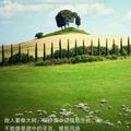 拼搏_1965161