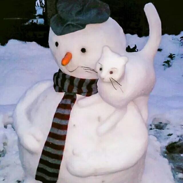 《好物分享》柔情似水的花蕾