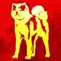 【红星社】Akita(秋田犬、柴犬)