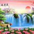 美梦成真6872