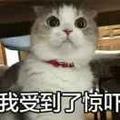 刘情吴义