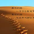河北寅尚橡塑