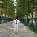 A  果冻 