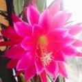 春暖花开1718