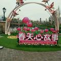 私奔到月球
