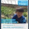 義龙手机_