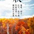 云海之颠