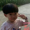 小虫虫。。小虫子