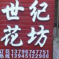 鲜花绿植13796747751