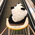 耐人儿