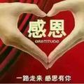 不成佛便成魔