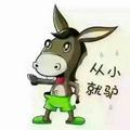 别惹我我是小毛驴🐎