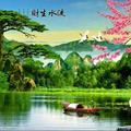 好运连连_赵红印