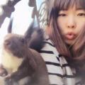 玲珑朱雀