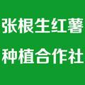 张根生红薯种植专业合作社