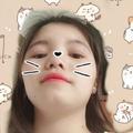 猫妈