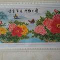 阳阳