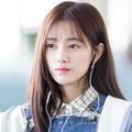 风信子337