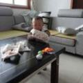 守护23506
